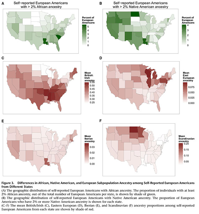 The Genetic Ancestry of African Americans, Latinos, and European
