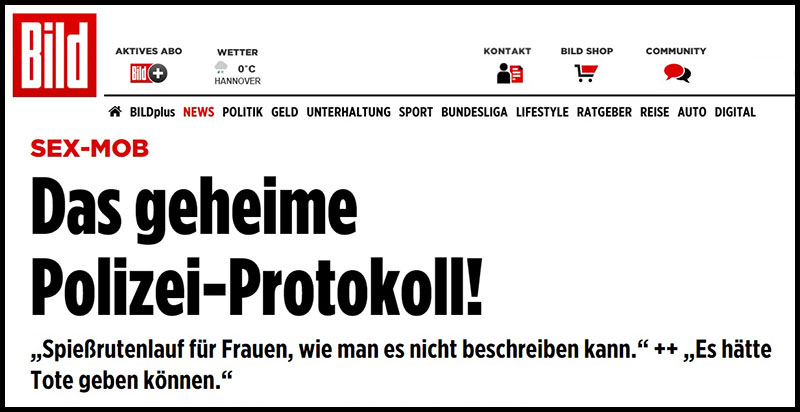 Bild-police