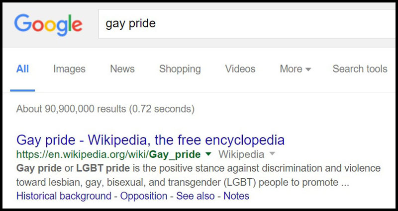 Gay pride google